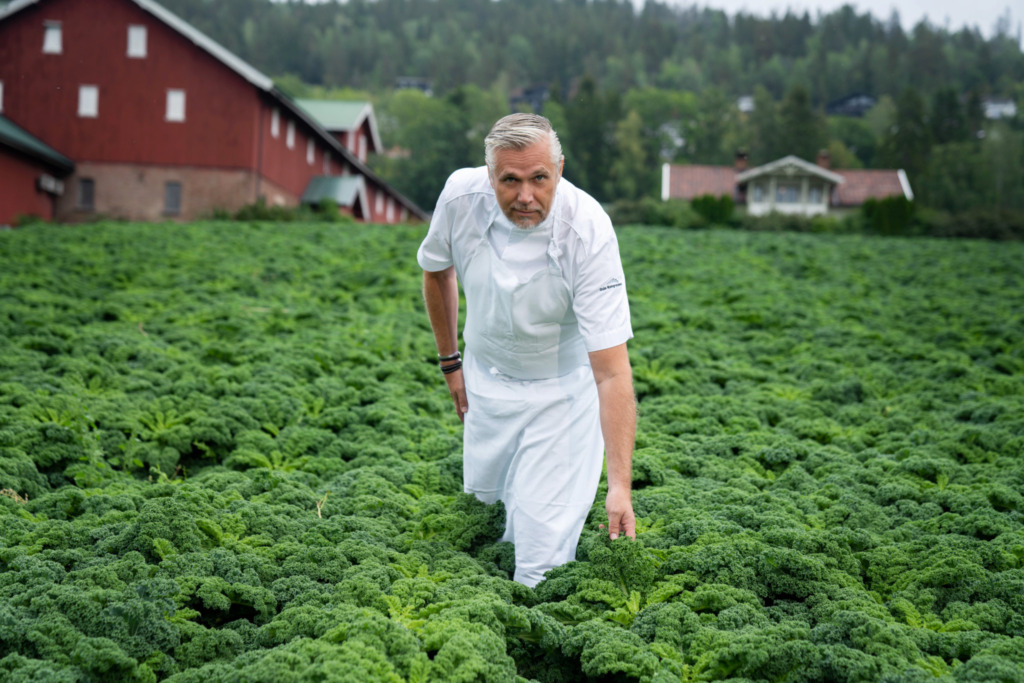 Bilde gårdsbesøk